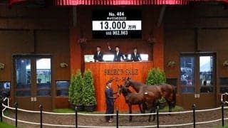 【セレクトセール2022】藤田晋氏が本日8頭目の1億円超え購買　豪の名牝モシーンの孫を1億3000万円で落札