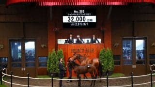 【セレクトセール2022】当歳ドゥラメンテ産駒が3億2000万円で落札