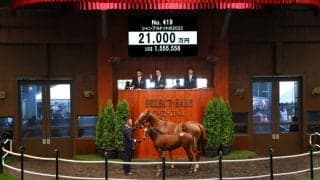 【セレクトセール2022】フィエールマン産駒が2億1000万円で落札