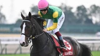 【函館記念予想オッズ】サンレイポケットが予想1番人気