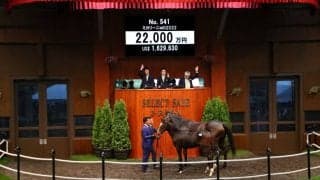 【セレクトセール2022】上場ラストはミカリーニョの2022が2億2000万円で落札