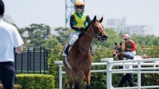 【函館2歳S展望】2歳世代最初のJRA重賞、好走傾向に合うあの馬に期待