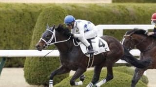 【ジャパンダートダービー】大久保龍志厩舎の2頭に注目！ 砂の若き王者を決める戦い