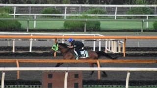 カイザーミノル、中京記念1週前追い切り速報/栗東トレセンニュース