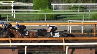 ミスニューヨーク、中京記念1週前追い切り速報/栗東トレセンニュース