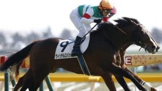 【先週のJRA抹消馬】末脚自慢のヴィッテルスバッハやナンヨーアミーコ、中山大障害出走のビッグスモーキーなど