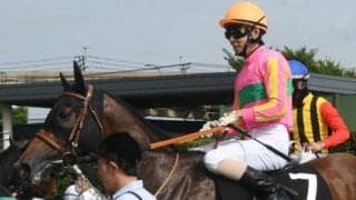 【次走】テイエムトッキュウは夏の名物“千直”重賞アイビスサマーダッシュへ格上挑戦　ここまで通算3勝すべて逃げ切り勝ち