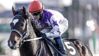 【次走】サンライズオネストはセントウルSへ 今年の阪急杯で3着＆高松宮記念にも出走