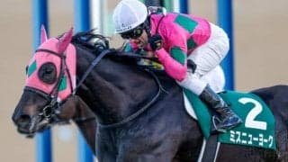【中京記念想定】ターコイズS覇者ミスニューヨーク、京成杯AH覇者カテドラル、10歳馬ベステンダンクなど