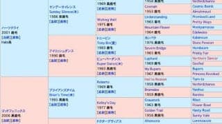 近親に菊花賞馬キセキ、オークス馬ダイワエルシエーロ、グレーターロンドンがいる良血タイセイマイティが31日新潟5Rでデビュー 
