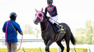 【次走】ダンツキャッスルはエルムSへ 前走マリーンSは上がり最速