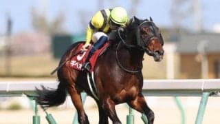 【函館記念予想】波乱の決着を警戒！AIエスケープが指名した一頭とは？