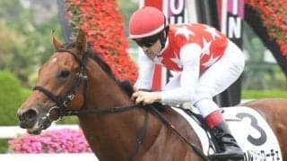 【次走】カルロヴェローチェは札幌2歳Sへ 宝塚記念デーの新馬戦を勝利
