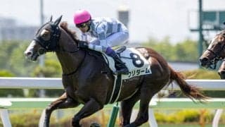 【函館2歳S出走馬・騎手確定】クリダーム＆武豊騎手、スプレモフレイバー＆吉田隼人騎手など13頭