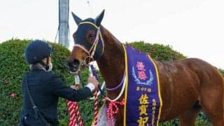 【盛岡・マーキュリーC出走予定馬】JRAケイアイパープル、川崎ノーヴァレンダら
