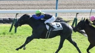 波乱が多い函館記念で狙い目の２頭。近走はイマイチも血統的に激走が期待できる