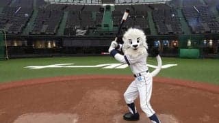 西武がプロ野球開初「NFT付きセレモニアルピッチ投球権」販売　8月20日オリ戦が対象