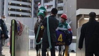 【盛岡・マーキュリーC枠順確定】ケイアイパープルは6枠9番、ノーヴァレンダは3枠4番