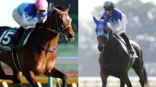 馬名の由来は剣術「燕返し」 豪G1覇者アドマイヤラクティの弟・ジュンツバメガエシが札幌でデビュー予定