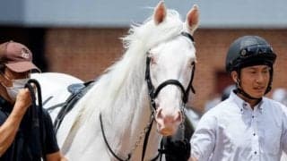 白毛馬アオラキが中1週で今週函館土曜1R未勝利戦に出走　スケジュール前倒しも「体重は変わらず元気」