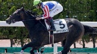 【函館2歳S予想】前走「圧勝」も適性に不安。好走ハードルを高める相反する能力