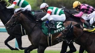 【中京記念想定】重賞2勝目狙うカテドラル、混合重賞制覇目指すミスニューヨーク、前走2年ぶり復帰のコルテジアなど