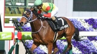 【函館記念予想】サンレイポケットは危険な人気馬!? 楽なメンバー構成も適性に不安