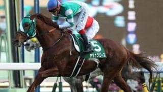 【JRA】ヤマカツエース産駒が初勝利 小倉6RでタガノタントがV