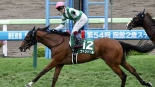 【函館2歳S】2歳最初の重賞ウィナーはブトンドール