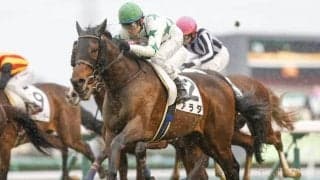 【函館記念前日オッズ】アラタが4.3倍で1番人気、マイネルウィルトスが続く