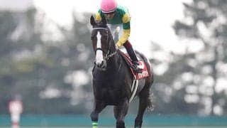 【AI予想・函館記念】まさかの「◎」に驚愕!? 大荒れ必至のメンバー構成。選ばれた本命馬は…