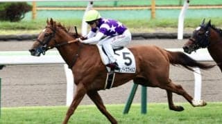 【函館1R】断然人気 サンライズフォルスが人気に応える