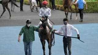 インゼル重賞初出走のクリダーム惜しい2着