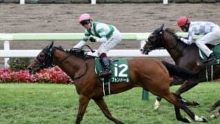 【函館2歳S】鮫島駿「馬のリズムで」ブトンドールが2歳世代最初の重賞V