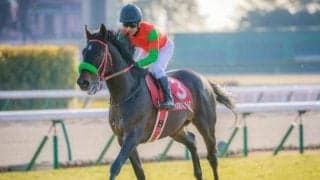 【函館記念予想】函館開催を締めくくるハンデ重賞 人気馬にとっては鬼門のレース!?