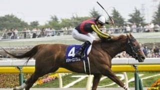 快速メジャーエンブレムの子、スワッグチェーンは「スラッとした体型で中距離が合いそう」