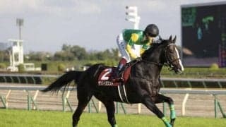 【函館記念予想】1番人気より遥かに信用できるのは？ 最荒レベルGIII戦のガイドラインを探せ！