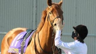 【浦和・プラチナC枠順確定】ワイドファラオは2枠2番、ティーズダンクは6枠6番