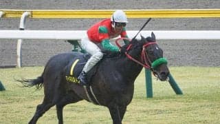 【函館記念・馬体重】マイネルウィルトスは468kg(-2)、アラタは466kg(+2)