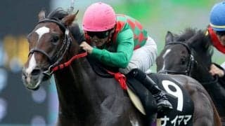 【次走】ナイママが7月末に復帰 昨年の巴賞3着から屈腱炎で休養中