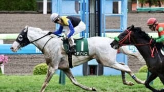 【函館記念】白毛馬 ハヤヤッコが重賞2勝目