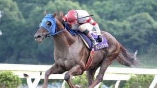 【高知・トレノ賞結果】ダノングッドが差し切り2度目のV、別府真司師は4連覇