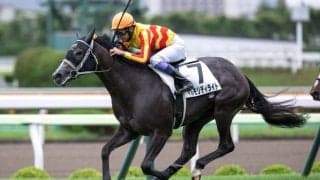 【函館1R】武豊 マルモリディライトが初勝利