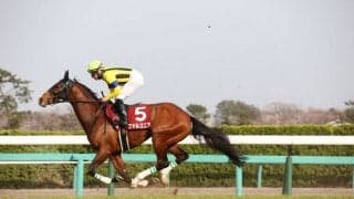 【中京記念登録馬】ファルコニアなど18頭