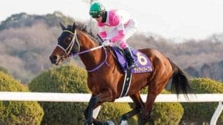 【マーキュリーC】実力拮抗の好メンバー集結、ここから大舞台へ飛躍するのは…