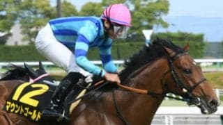 【先週のJRA抹消馬】9歳馬マウントゴールド、グローリーヴェイズの弟カヌメラビーチ、名鉄杯覇者ペプチドバンブーなど