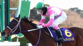 マーキュリーカップのケイアイパープルは藤岡康太騎手から山本政聡騎手に乗り替わり