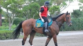 メジャーエンブレムの仔で初の牡馬 スワッグチェーンが三浦皇成騎手でデビュー/関東馬メイクデビュー情報