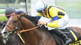 【中京記念想定騎手】初タイトル狙うファルコニアは川田将雅騎手、混合重賞制覇目指すミスニューヨークはM.デムーロ騎手