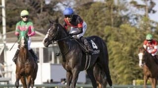 【中京記念展望】今年も小倉開催、あの馬の巻き返しを期待したい